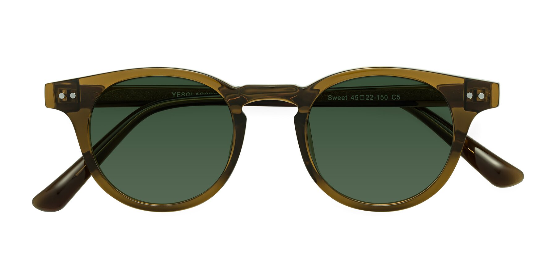 Folded Front of Sweet in Muddy Brown with Green Tinted Lenses