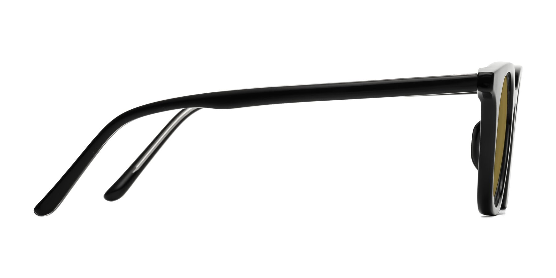 Side of Gemini in Black with Brown Polarized Lenses