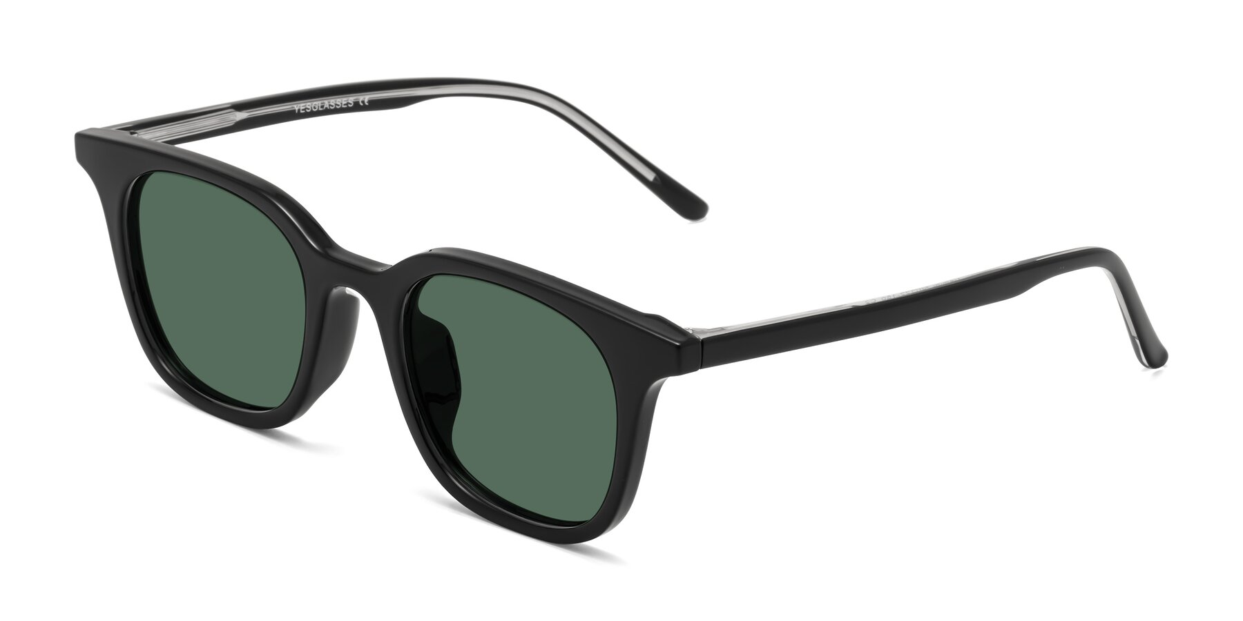 Angle of Gemini in Black with Green Polarized Lenses