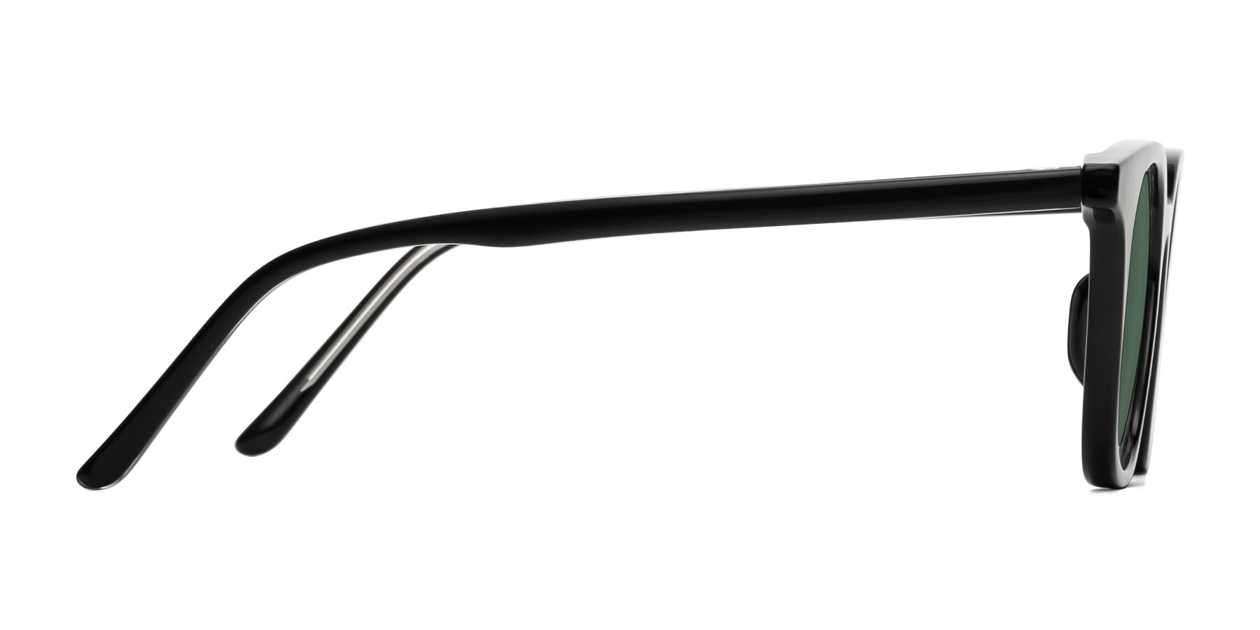 Side of Gemini in Black with Green Polarized Lenses