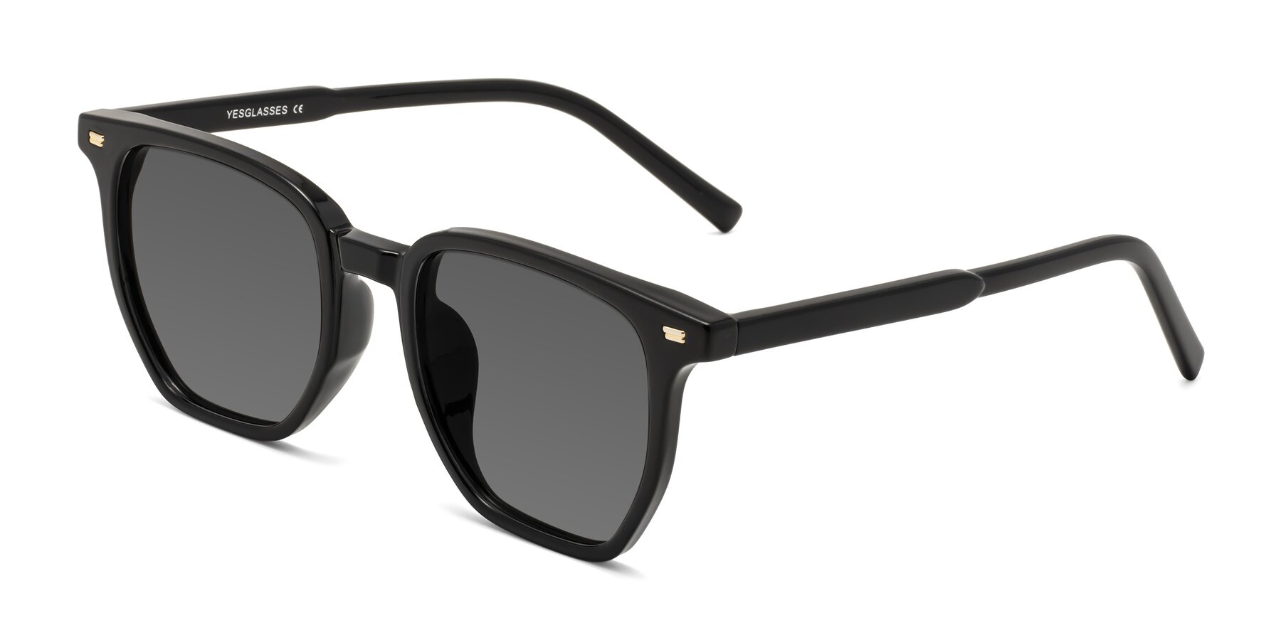 Angle of Lucky in Black with Medium Gray Tinted Lenses