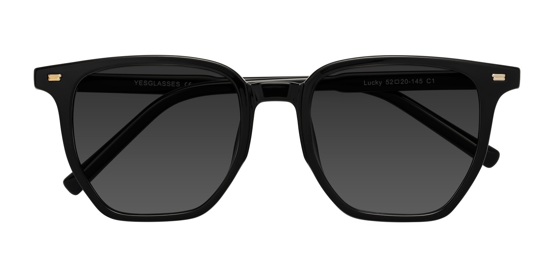 Folded Front of Lucky in Black with Gray Tinted Lenses