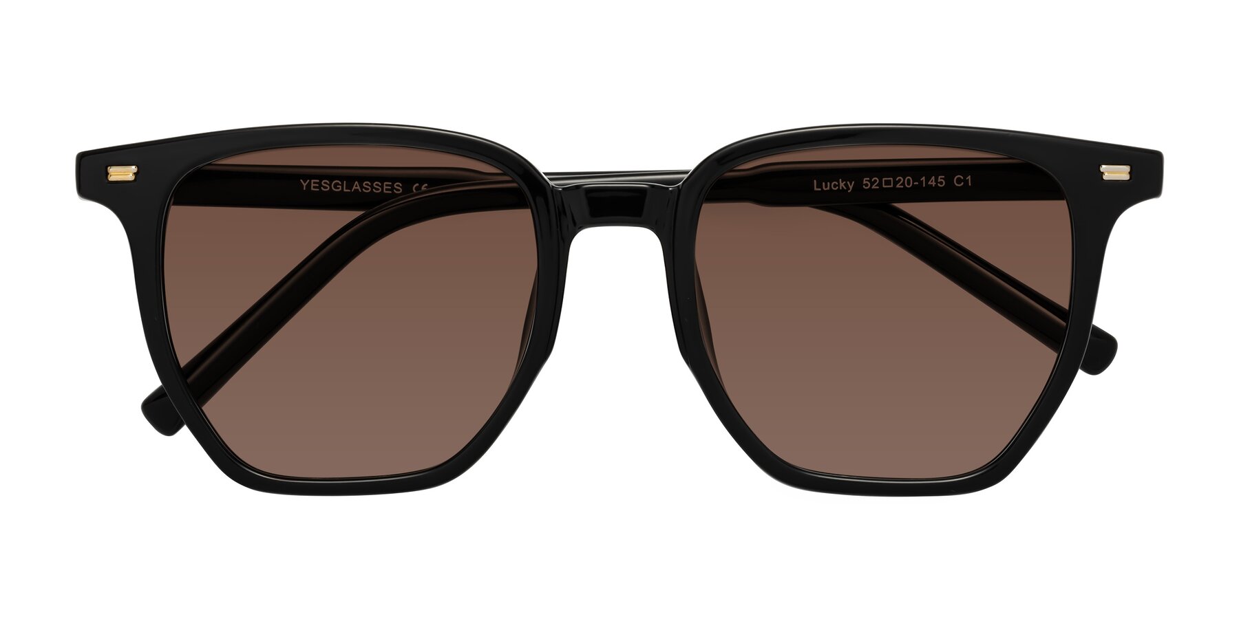 Folded Front of Lucky in Black with Brown Tinted Lenses