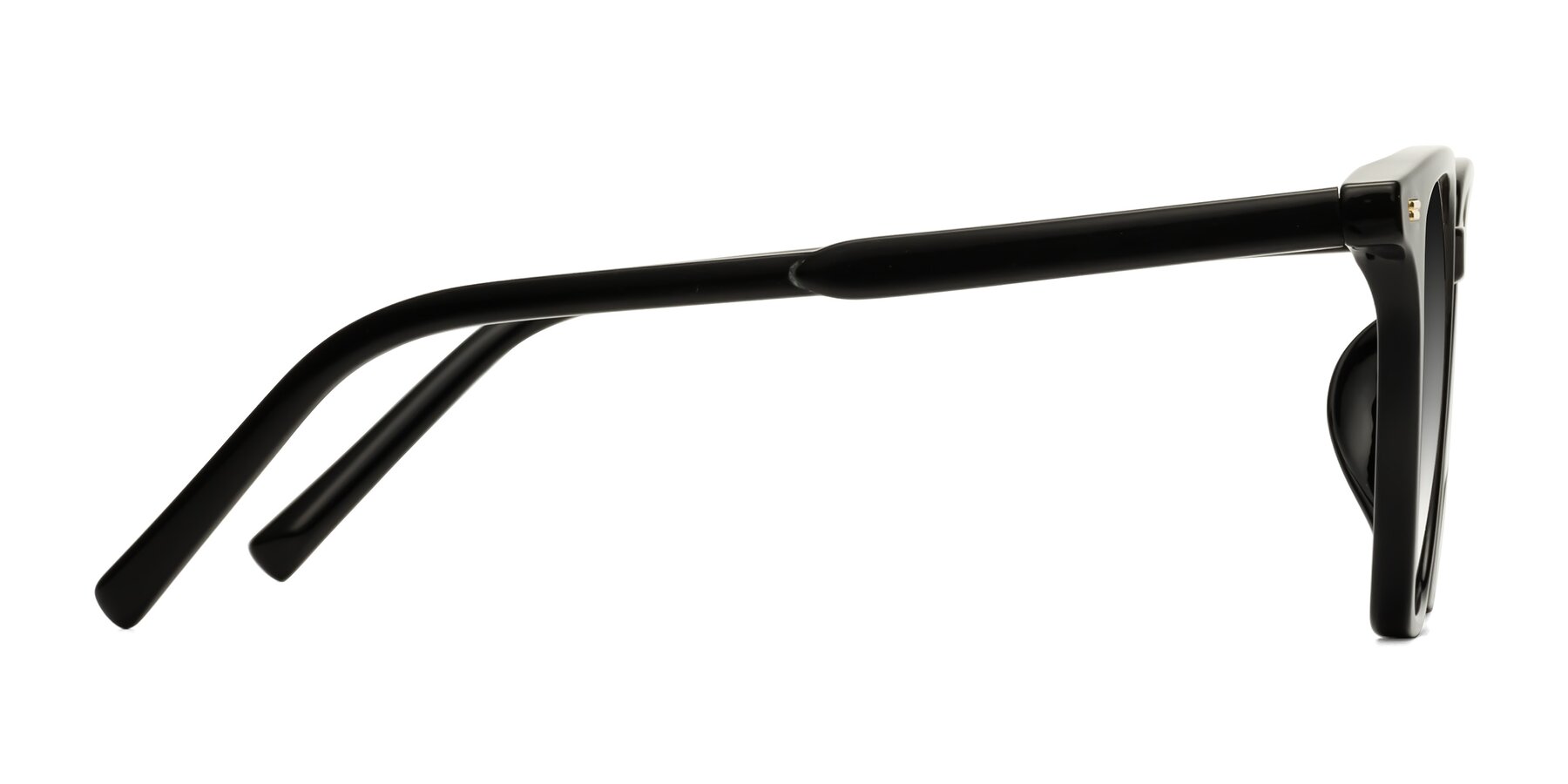 Side of Lucky in Black with Gray Gradient Lenses