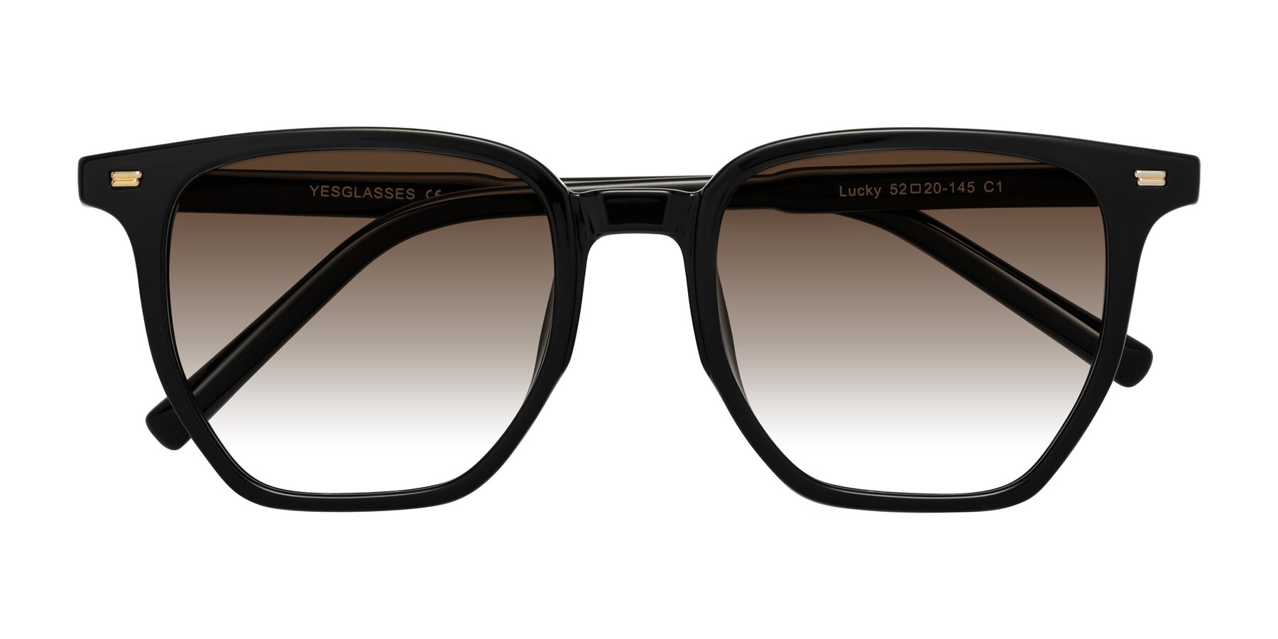 Folded Front of Lucky in Black with Brown Gradient Lenses