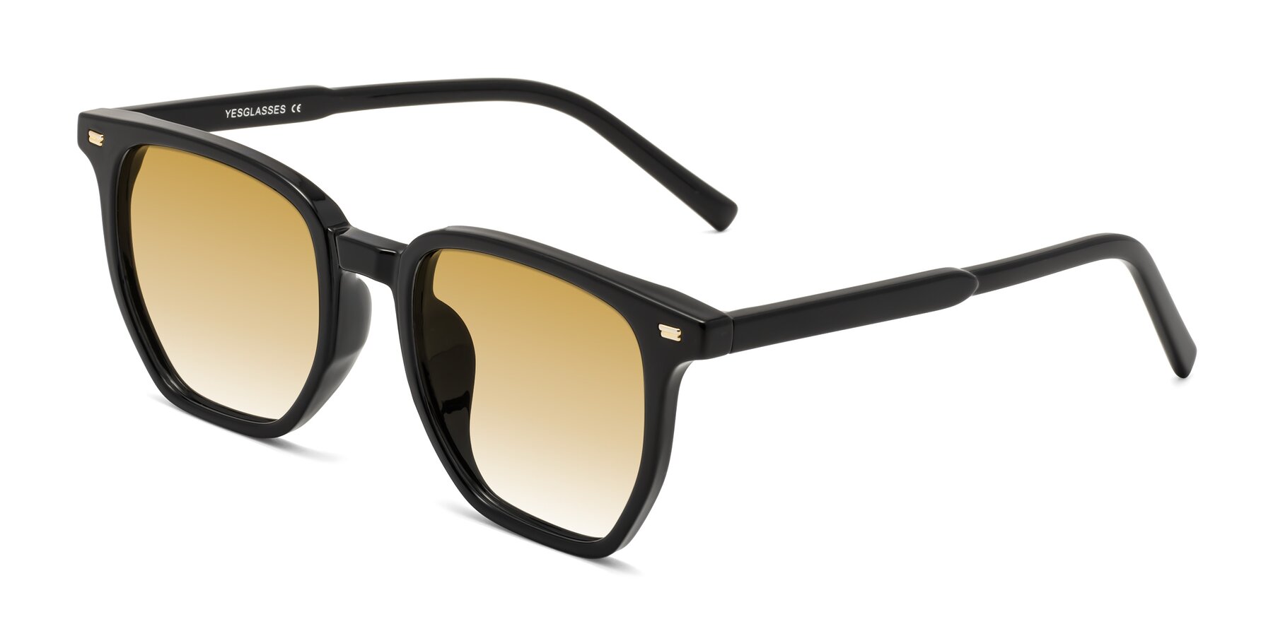 Angle of Lucky in Black with Champagne Gradient Lenses