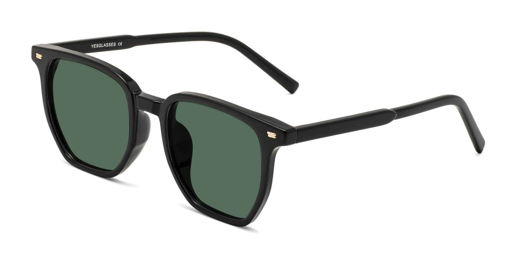 Angle of Lucky in Black with Green Polarized Lenses