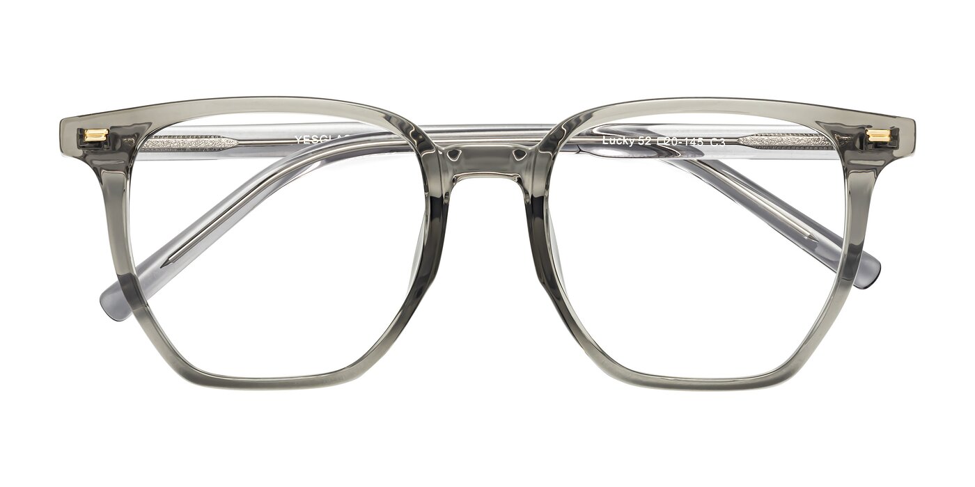 Lucky - Translucent Gray Eyeglasses