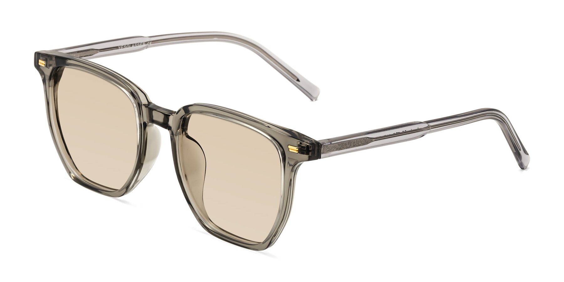 Angle of Lucky in Translucent Gray with Light Brown Tinted Lenses