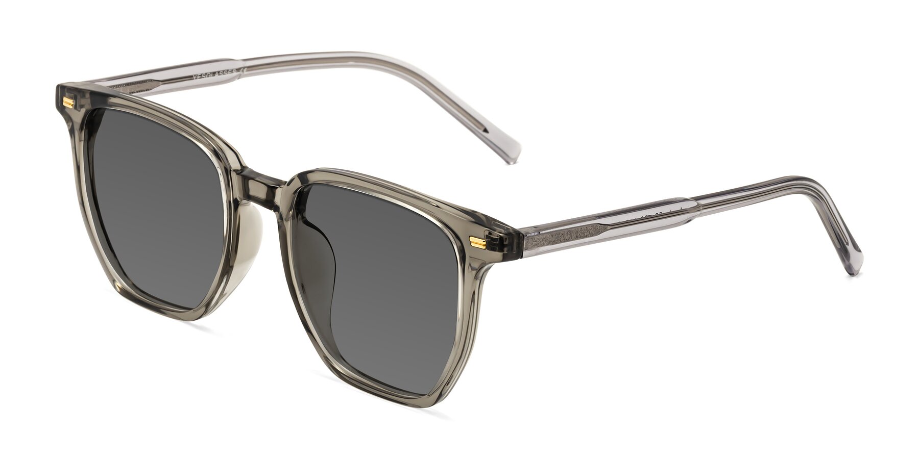 Angle of Lucky in Translucent Gray with Medium Gray Tinted Lenses