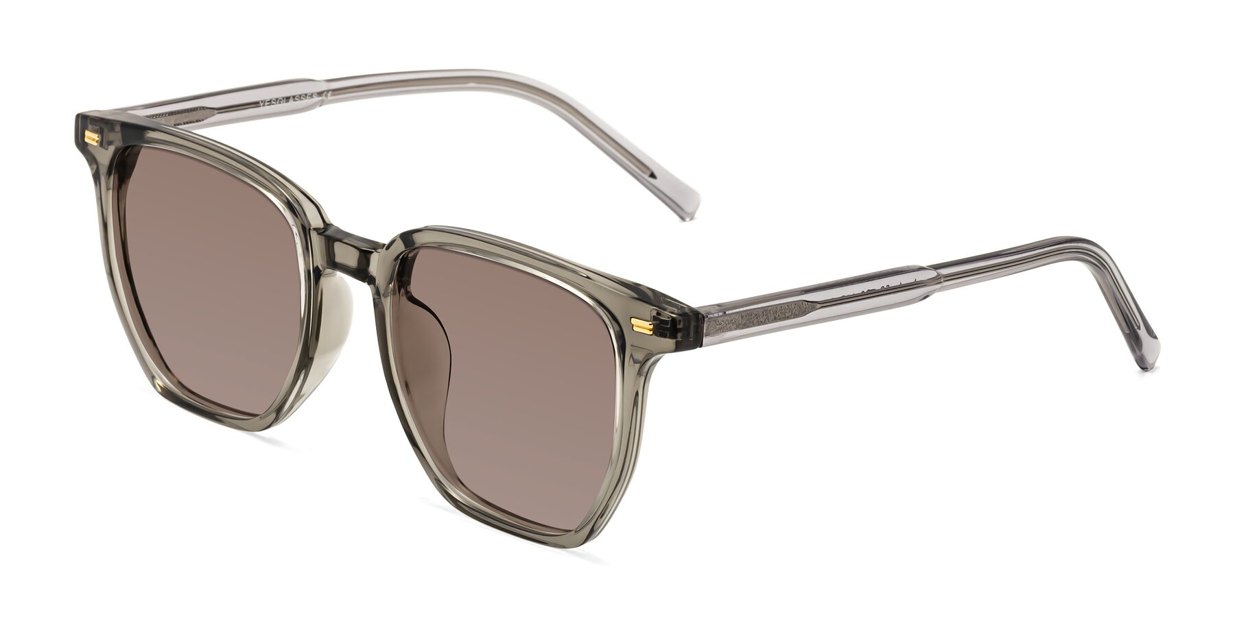 Angle of Lucky in Translucent Gray with Medium Brown Tinted Lenses