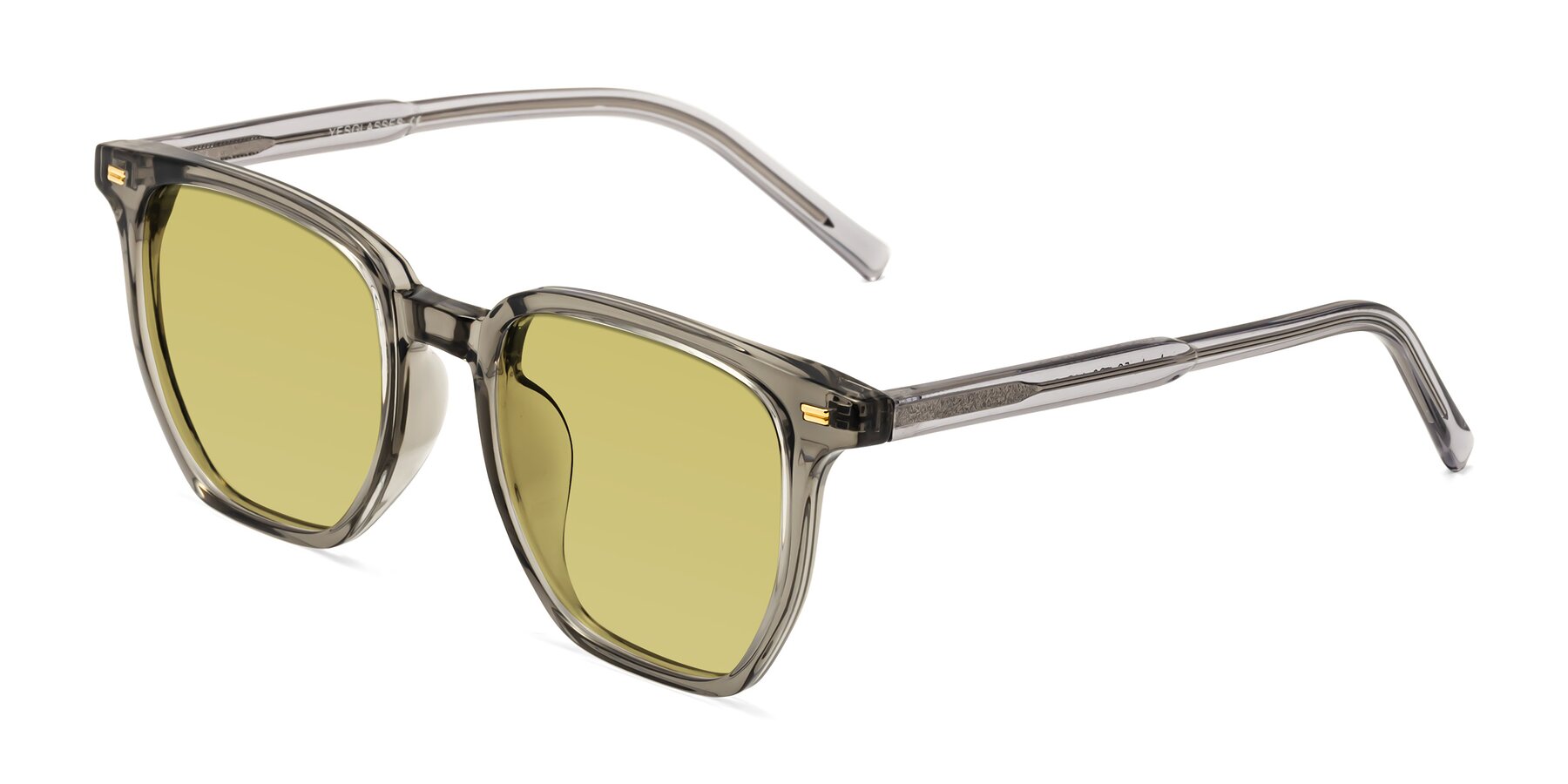 Angle of Lucky in Translucent Gray with Medium Champagne Tinted Lenses