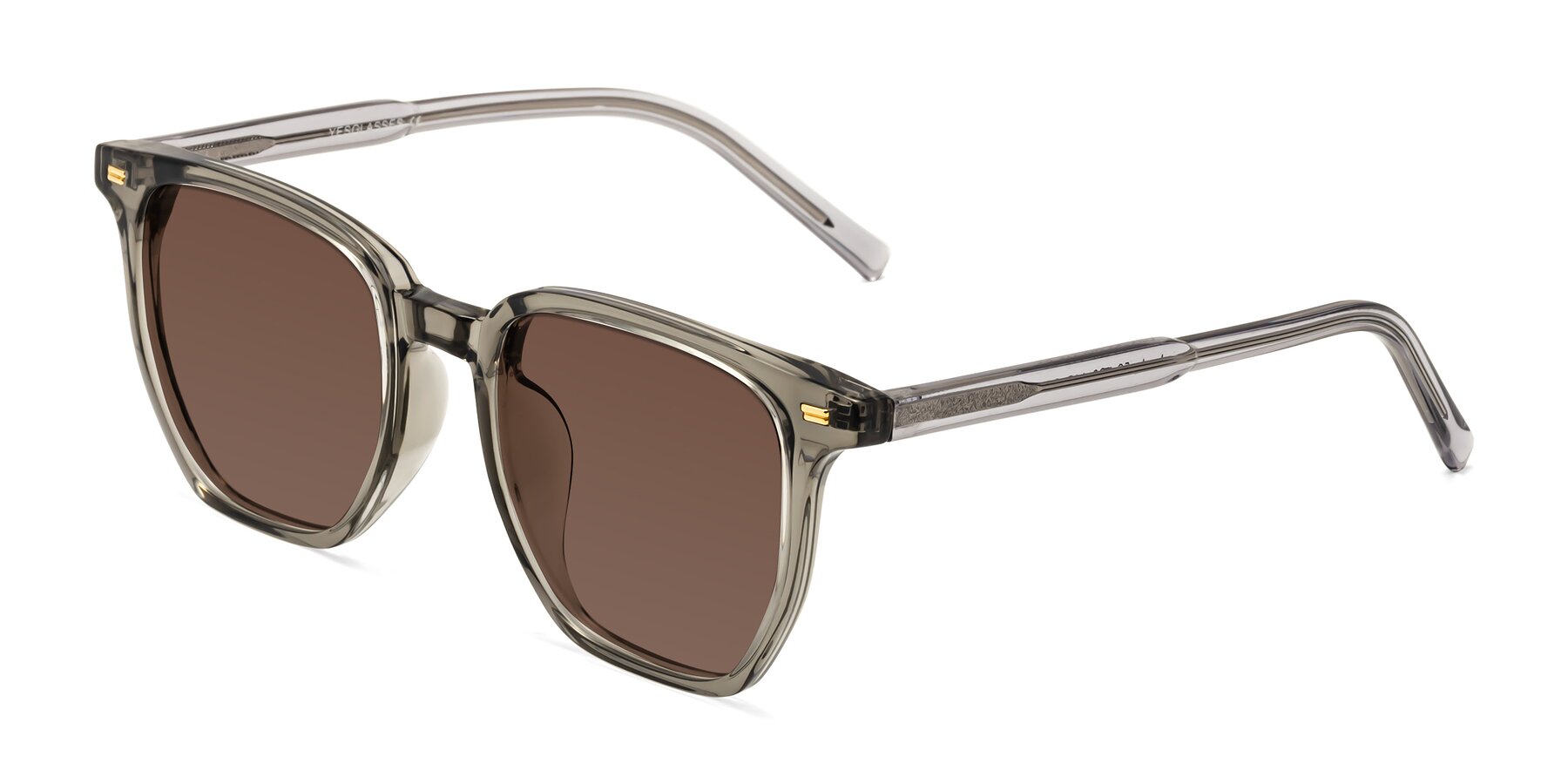 Angle of Lucky in Translucent Gray with Brown Tinted Lenses