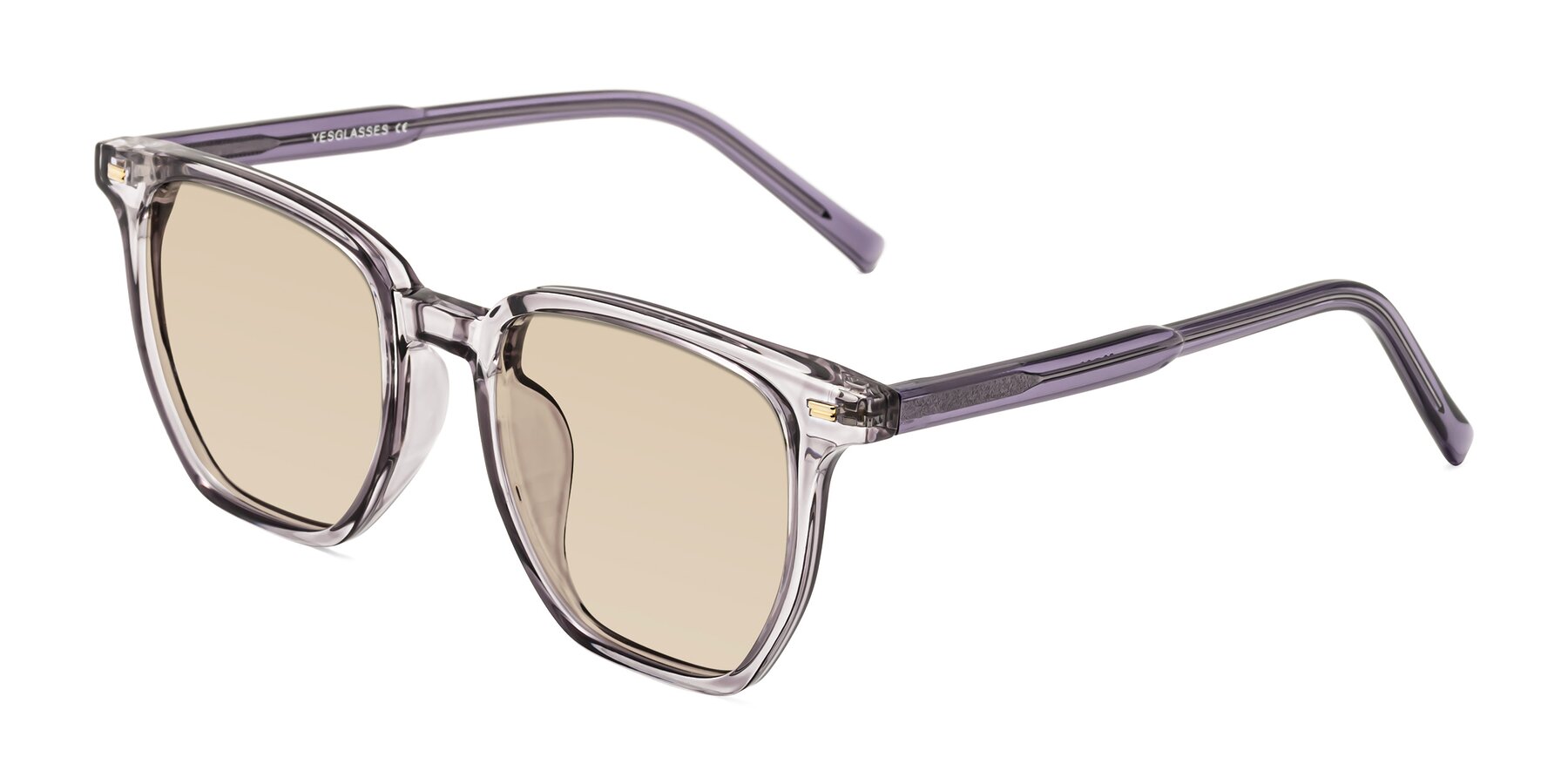 Angle of Lucky in Light Purple with Light Brown Tinted Lenses