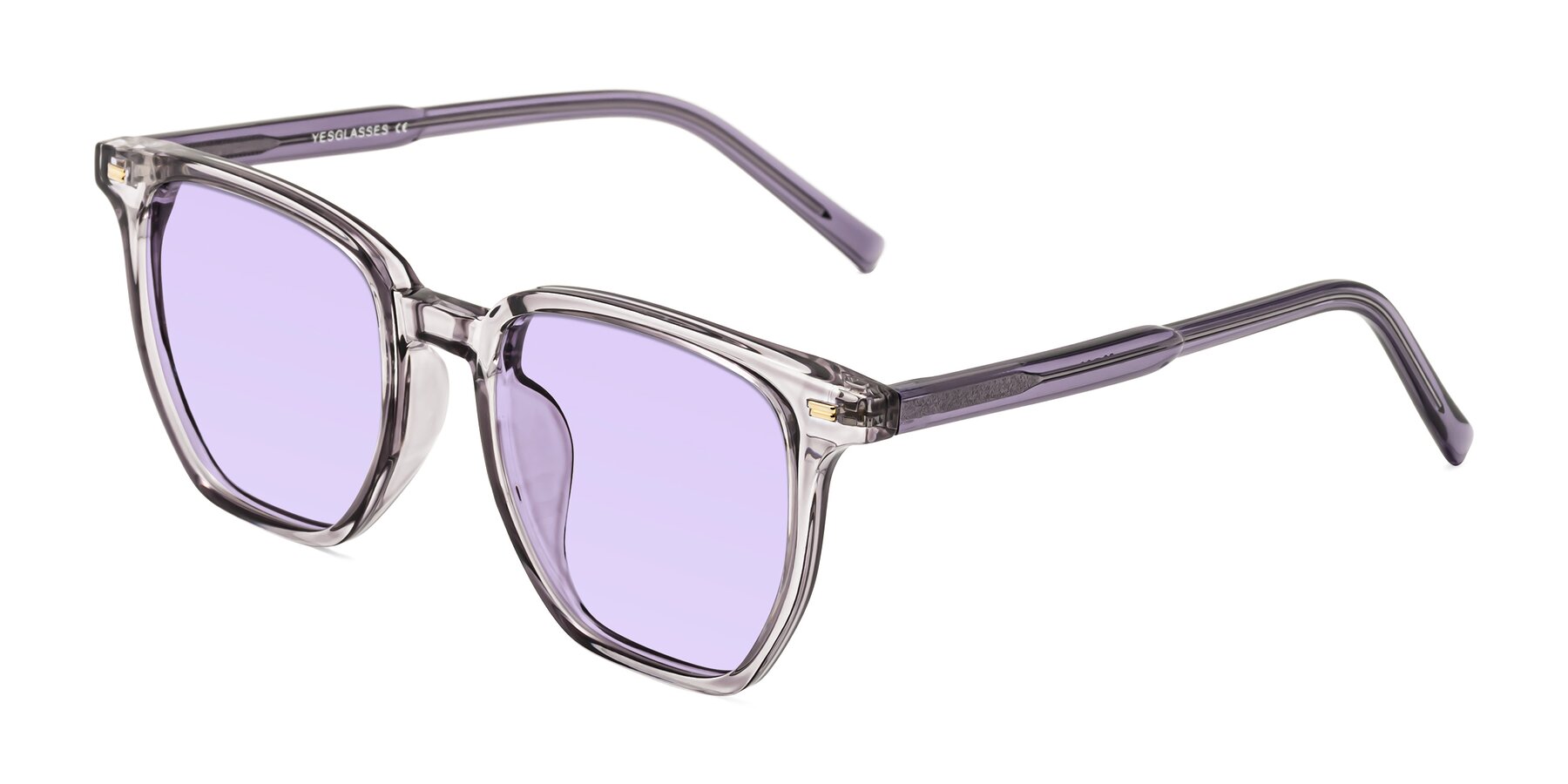 Angle of Lucky in Light Purple with Light Purple Tinted Lenses