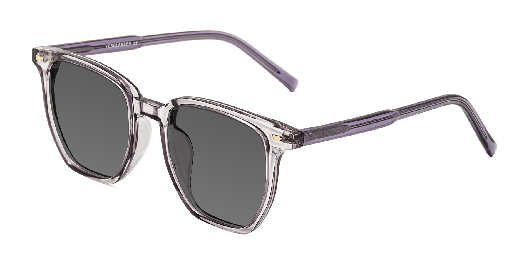 Angle of Lucky in Light Purple with Medium Gray Tinted Lenses