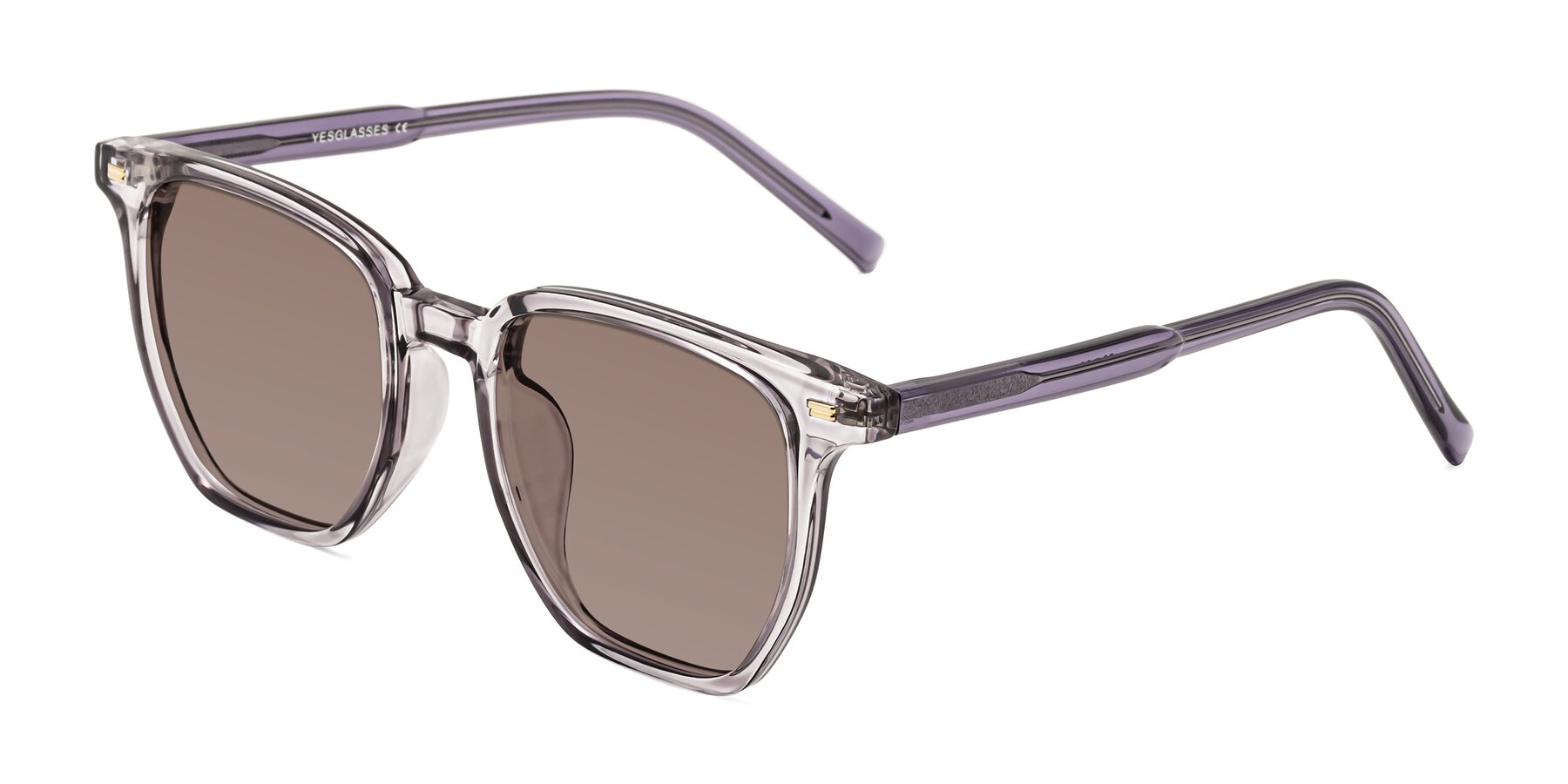 Angle of Lucky in Light Purple with Medium Brown Tinted Lenses