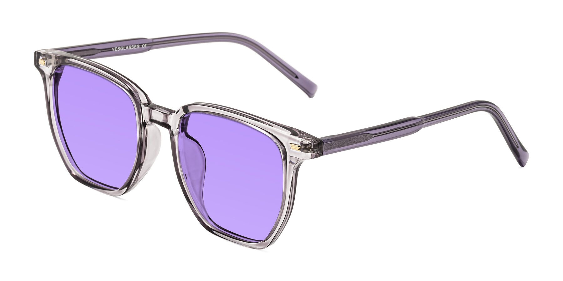 Angle of Lucky in Light Purple with Medium Purple Tinted Lenses