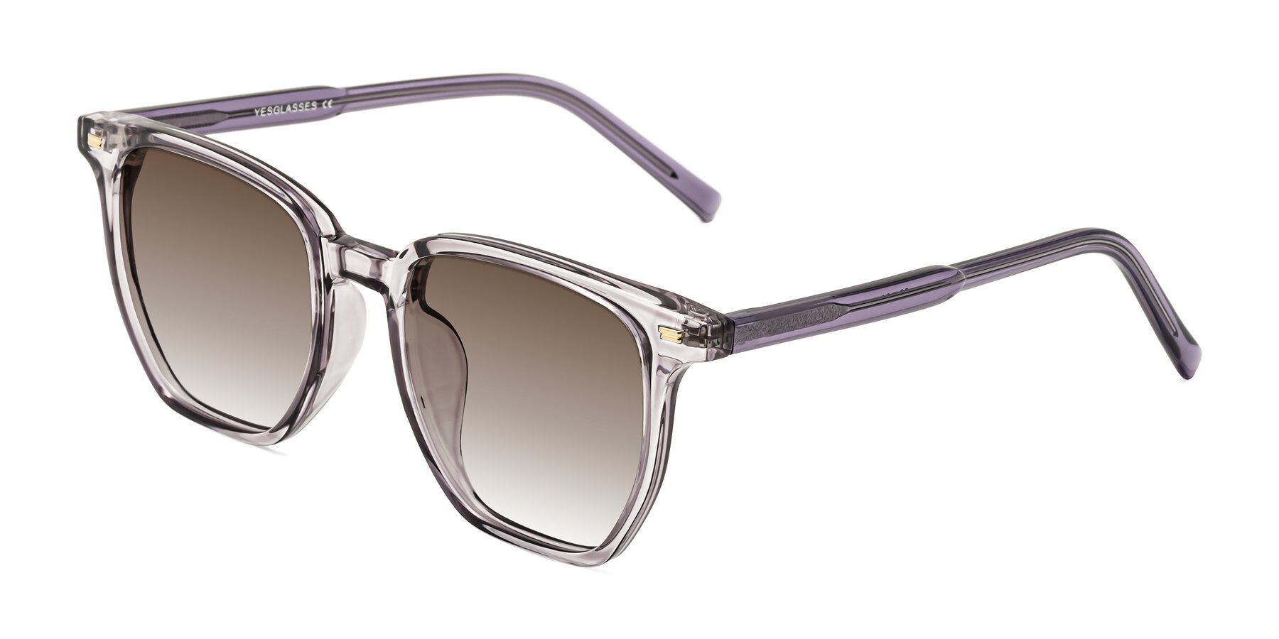 Angle of Lucky in Light Purple with Brown Gradient Lenses