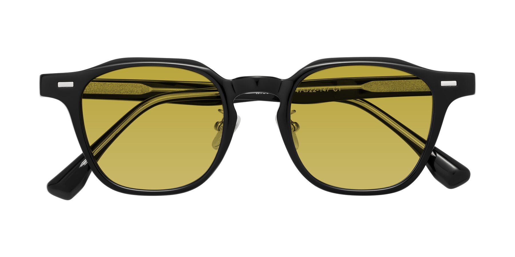Folded Front of Mississauga in Black with Champagne Tinted Lenses