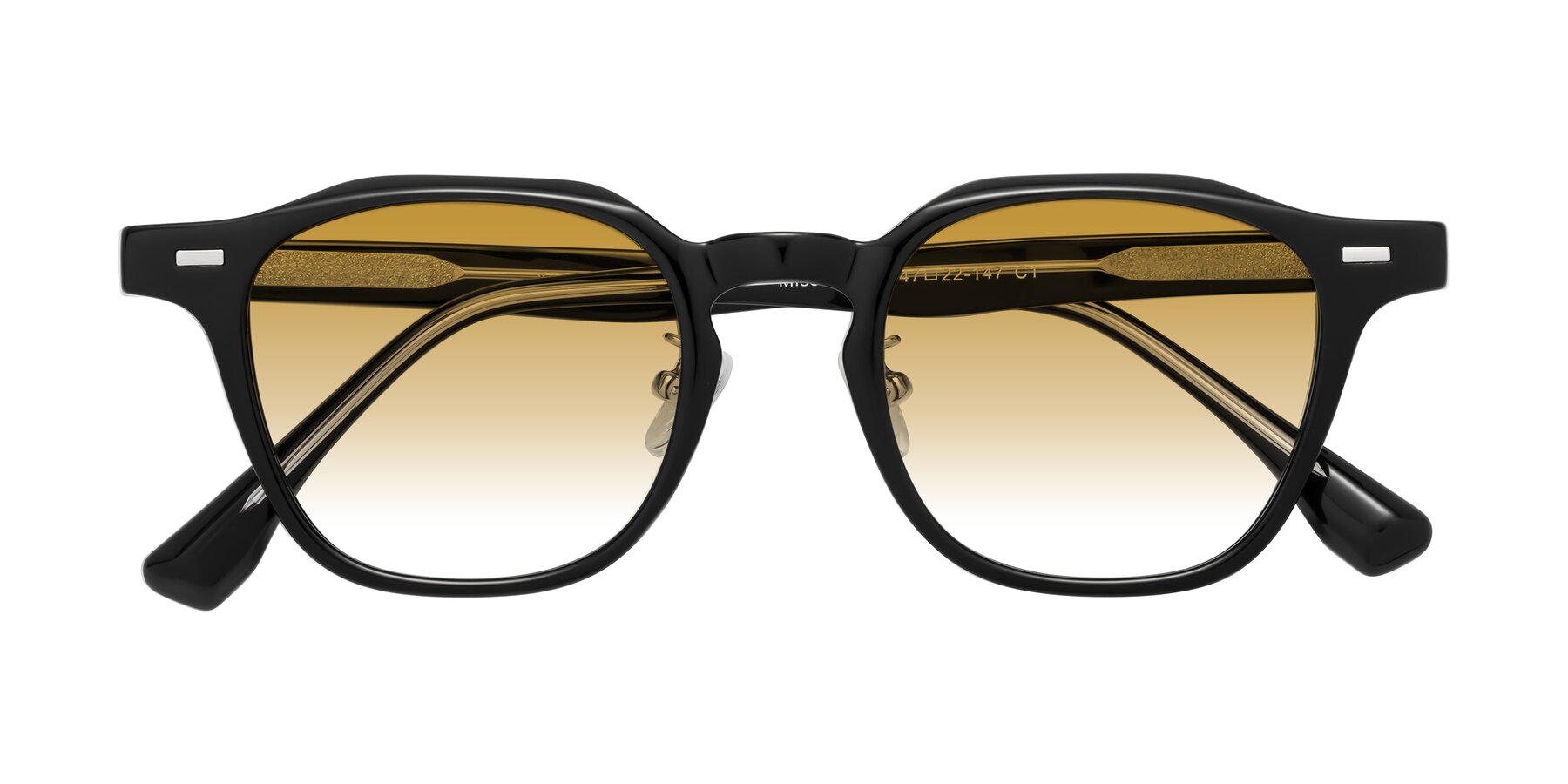 Folded Front of Mississauga in Black with Champagne Gradient Lenses