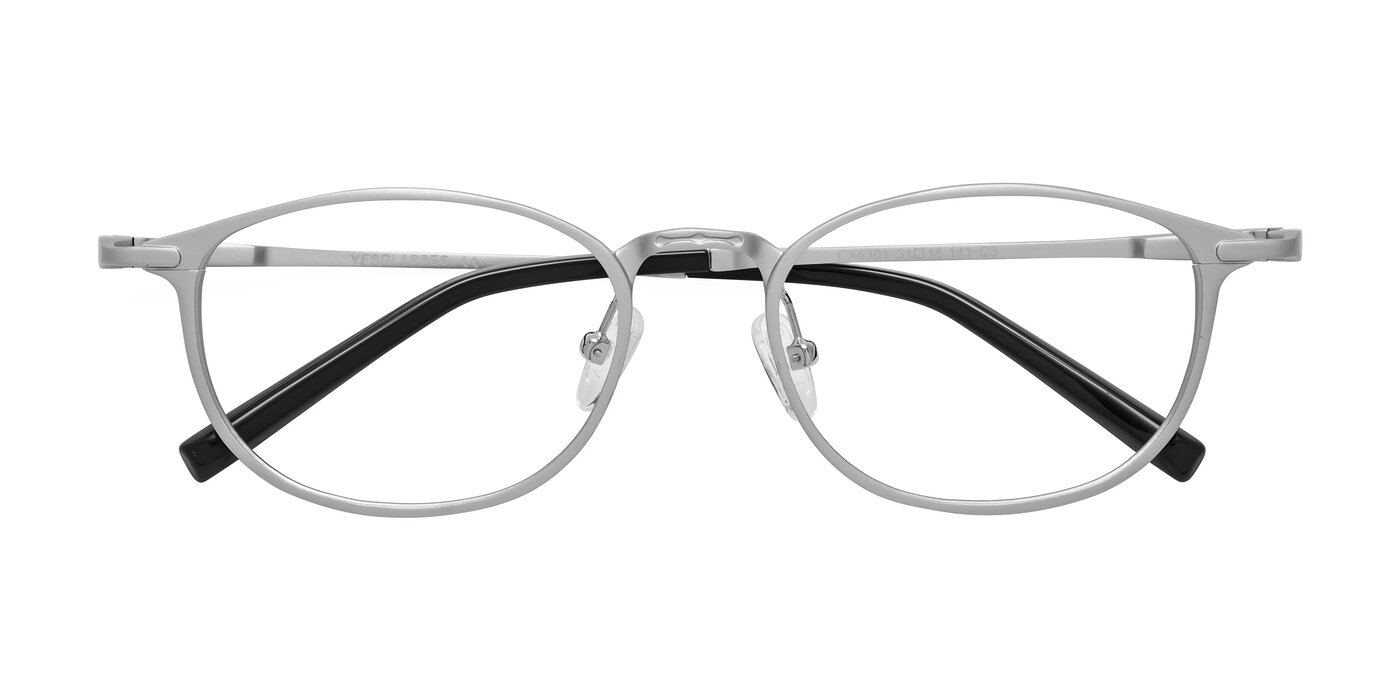 CX6301 - Silver Eyeglasses