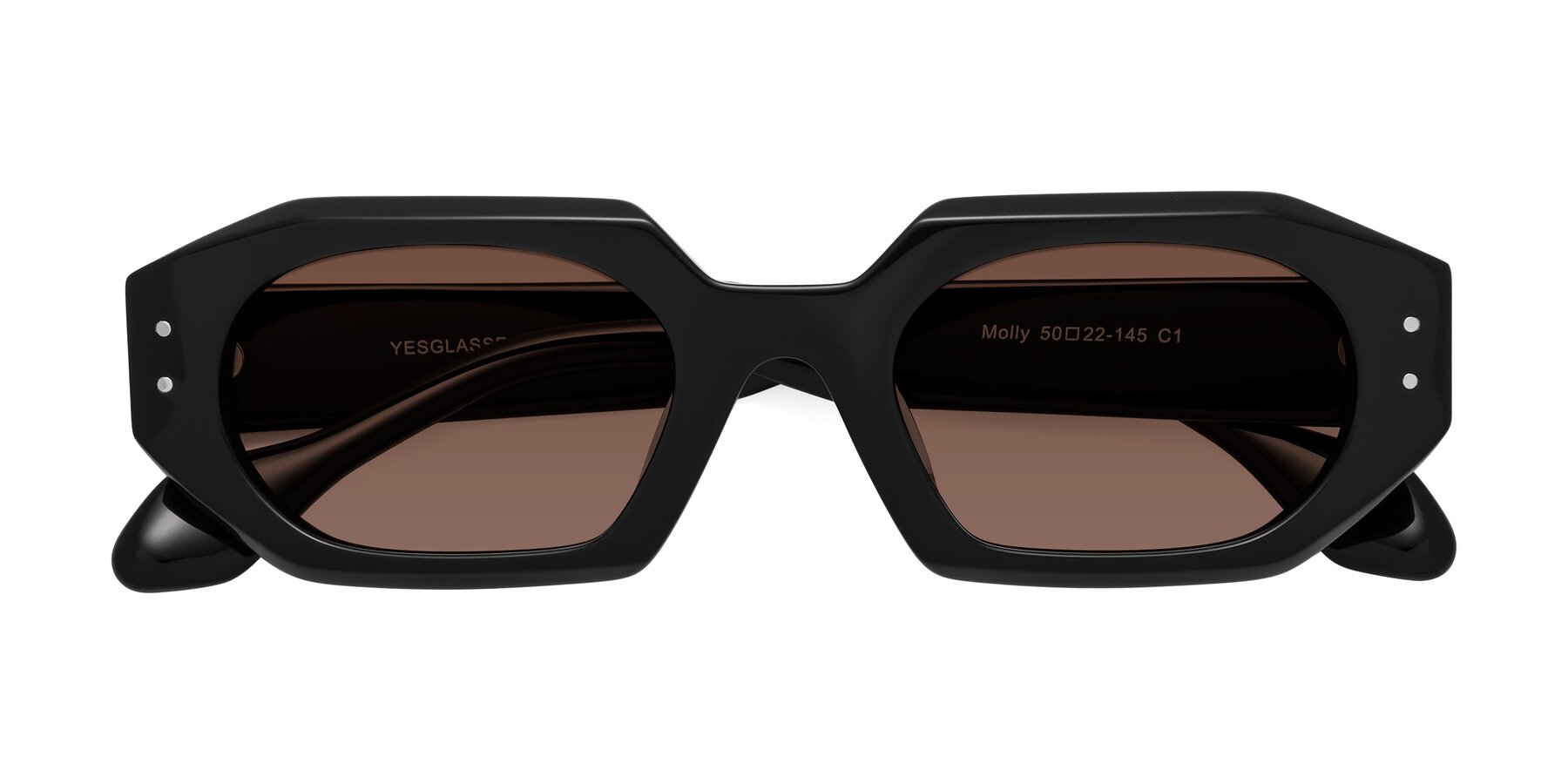 Folded Front of Molly in Black with Brown Tinted Lenses