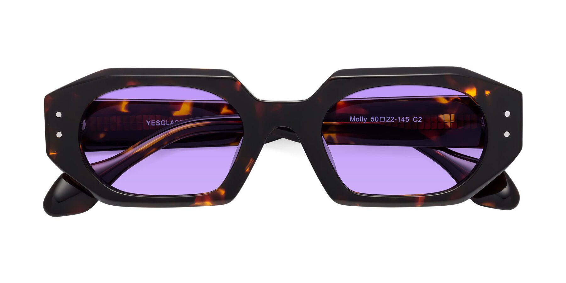 Folded Front of Molly in Tortoise with Medium Purple Tinted Lenses