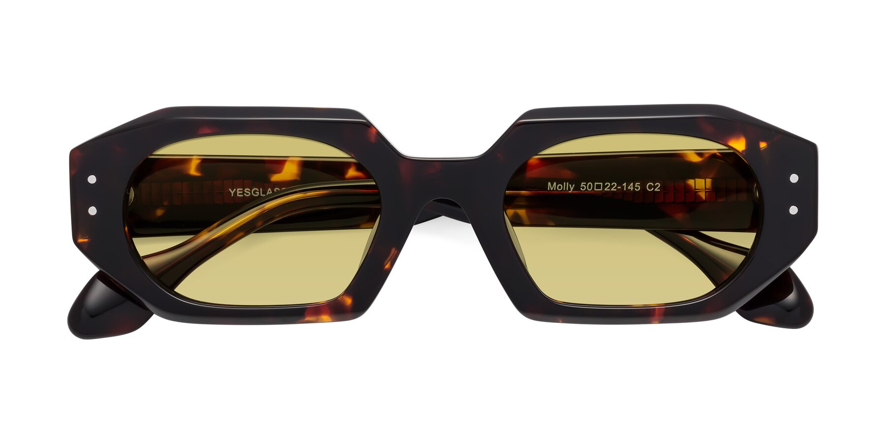 Folded Front of Molly in Tortoise with Medium Champagne Tinted Lenses