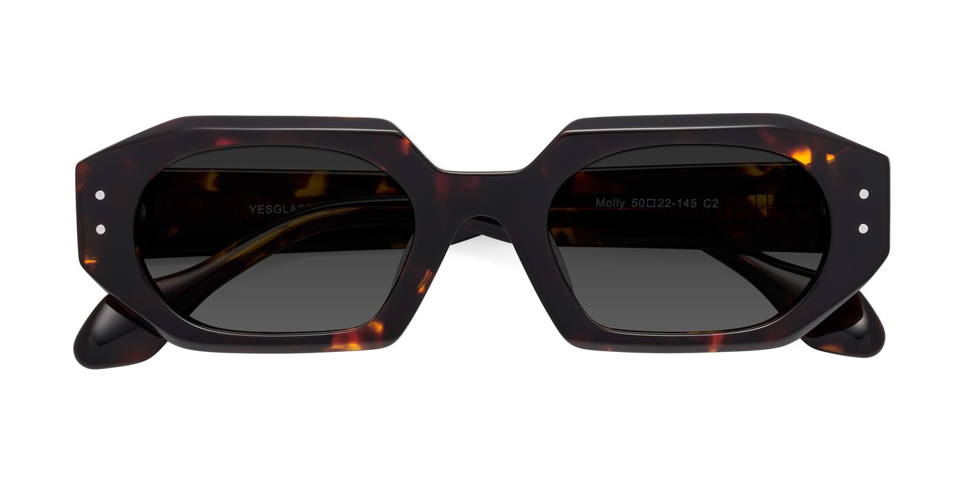 Molly - Tortoise Tinted Sunglasses