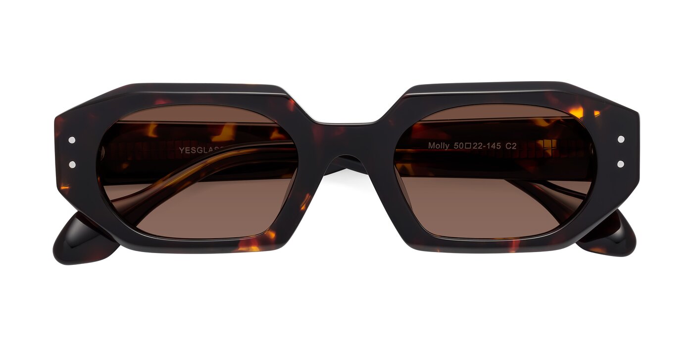 Molly - Tortoise Tinted Sunglasses