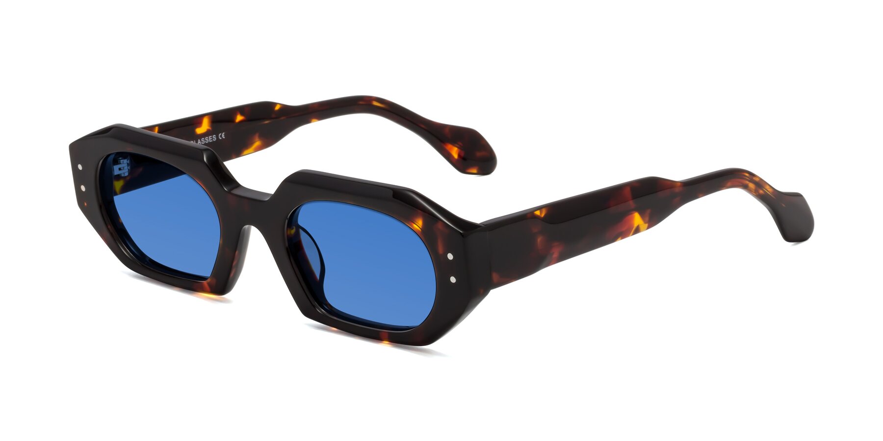 Angle of Molly in Tortoise with Blue Tinted Lenses