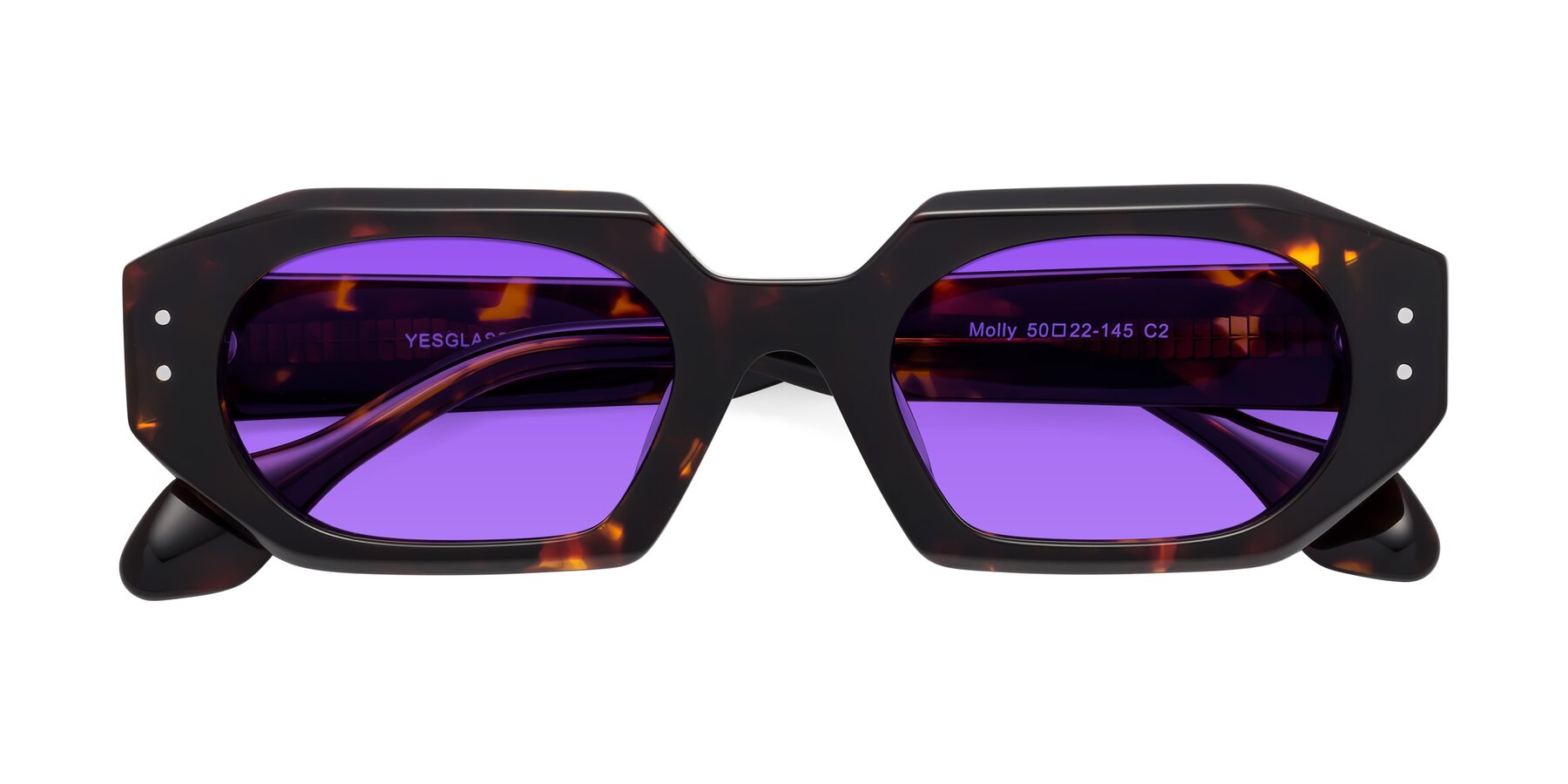 Folded Front of Molly in Tortoise with Purple Tinted Lenses