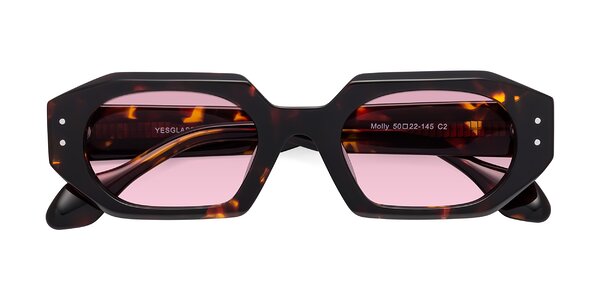 Front of Molly in Tortoise