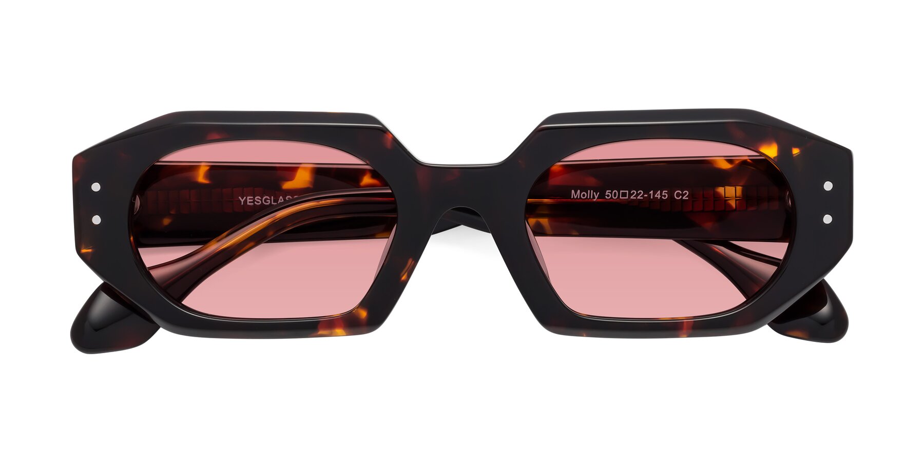 Folded Front of Molly in Tortoise with Medium Garnet Tinted Lenses