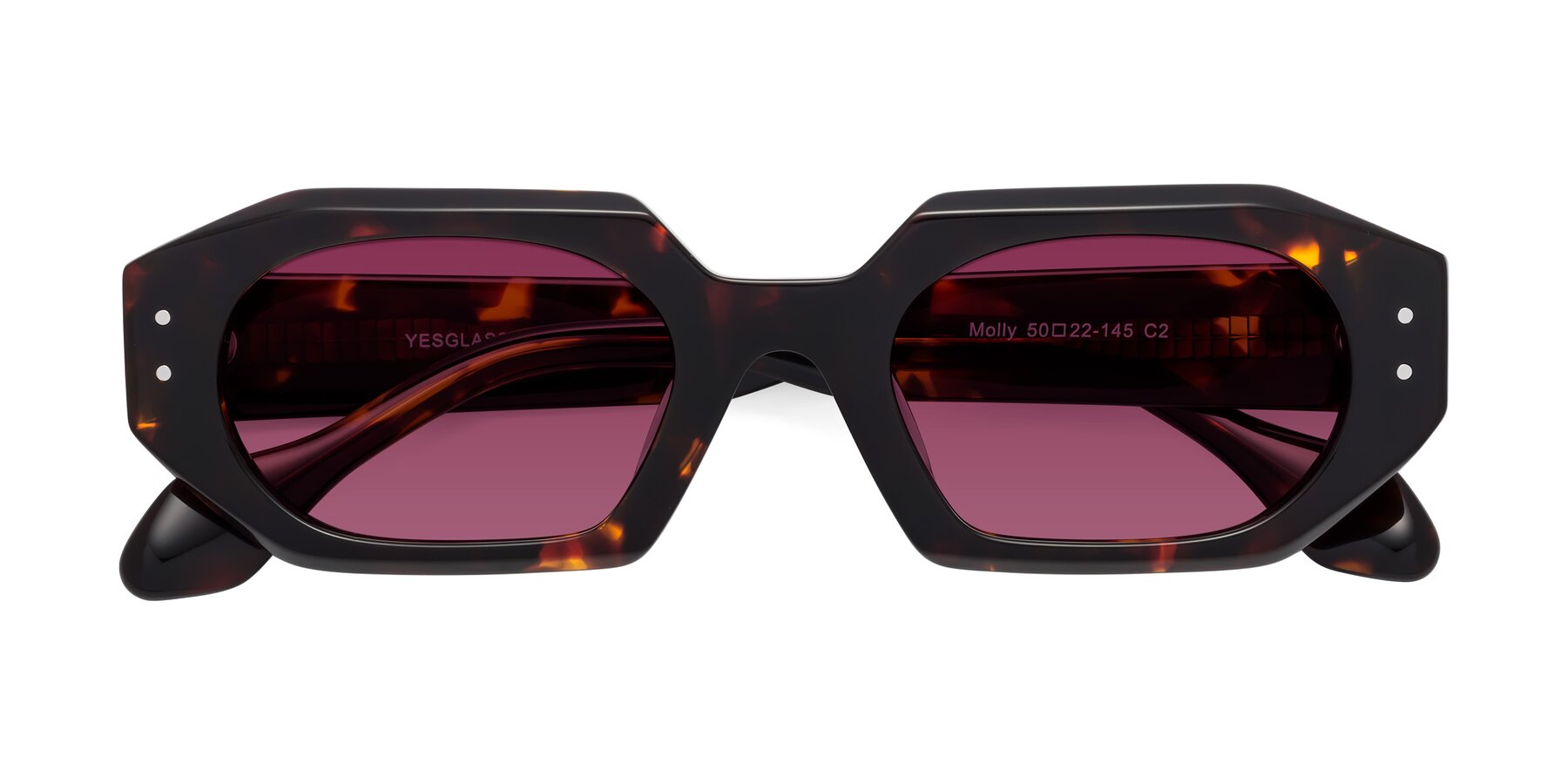 Folded Front of Molly in Tortoise with Wine Tinted Lenses