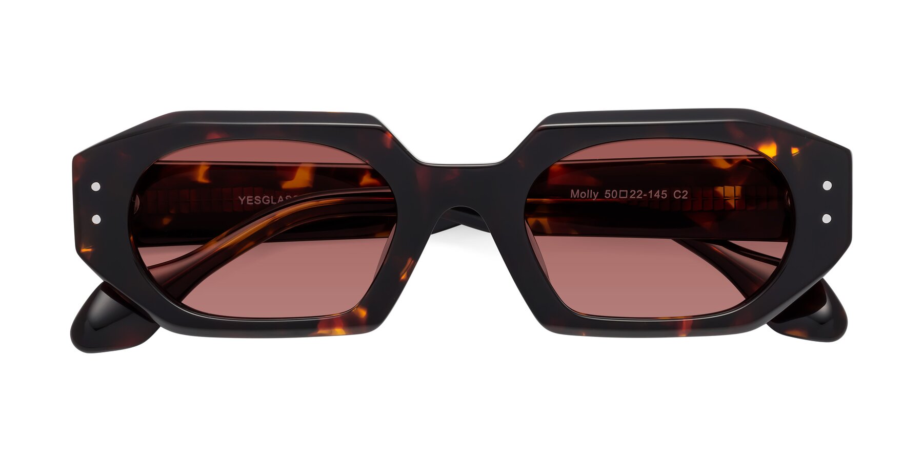 Folded Front of Molly in Tortoise with Garnet Tinted Lenses