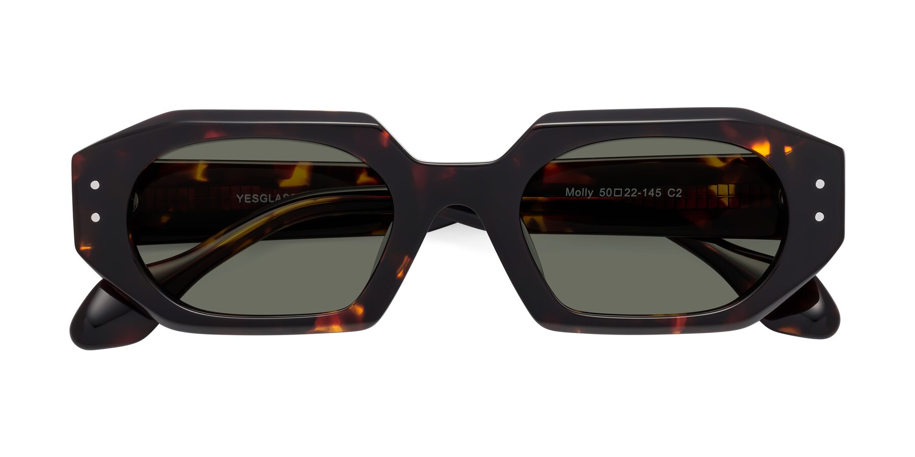 Folded Front of Molly in Tortoise with Gray Polarized Lenses