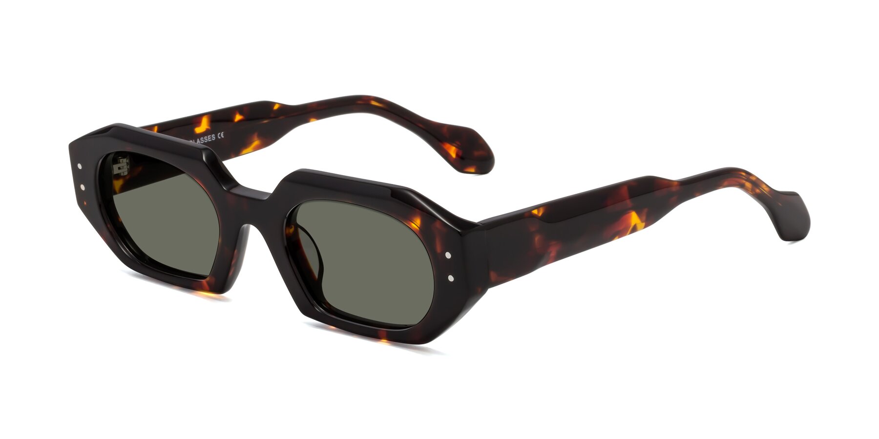 Angle of Molly in Tortoise with Gray Polarized Lenses