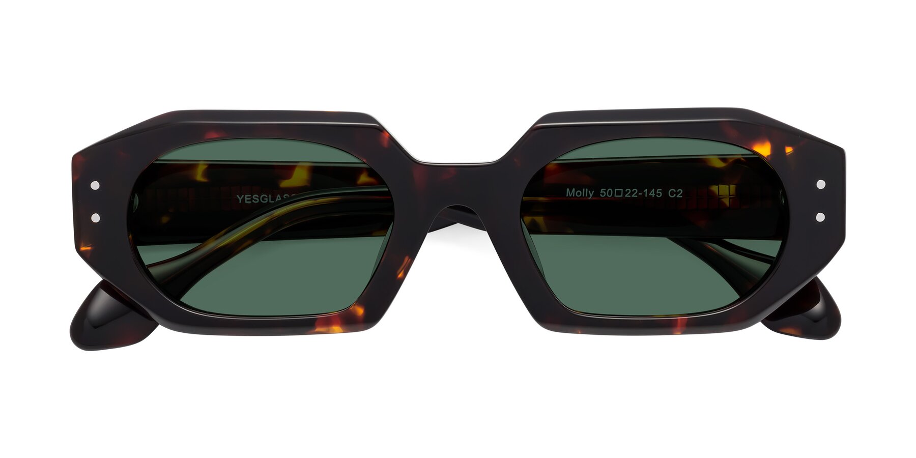 Folded Front of Molly in Tortoise with Green Polarized Lenses