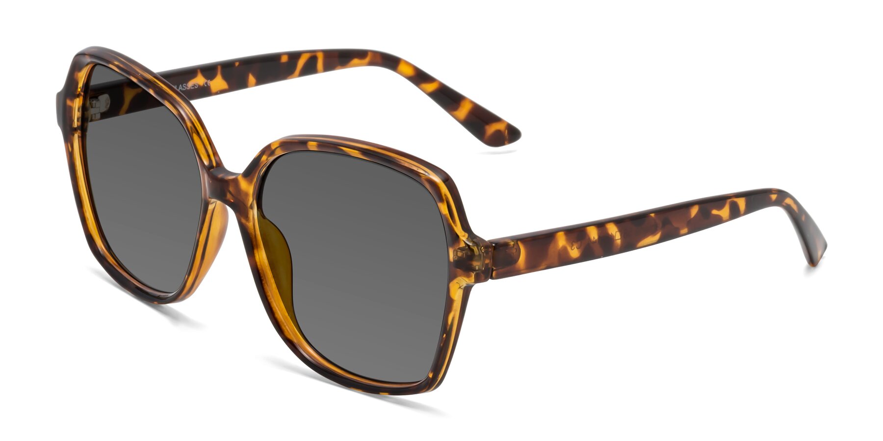 Angle of Kamana in Tortoise with Medium Gray Tinted Lenses
