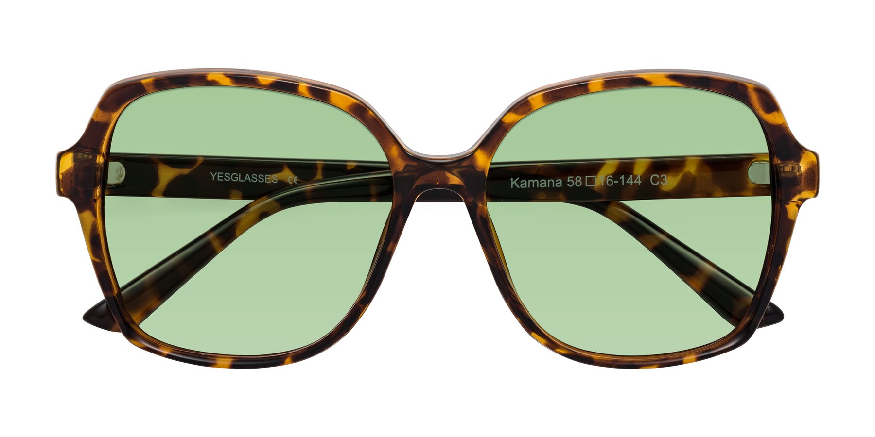 Folded Front of Kamana in Tortoise with Medium Green Tinted Lenses
