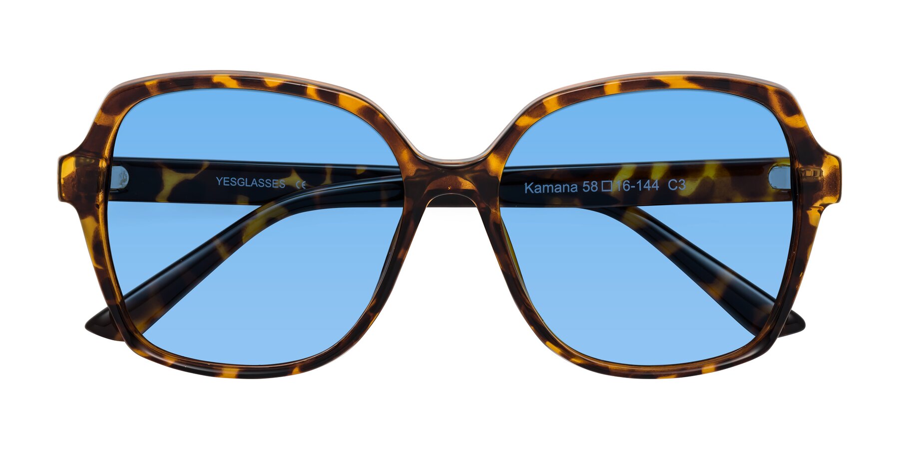 Folded Front of Kamana in Tortoise with Medium Blue Tinted Lenses