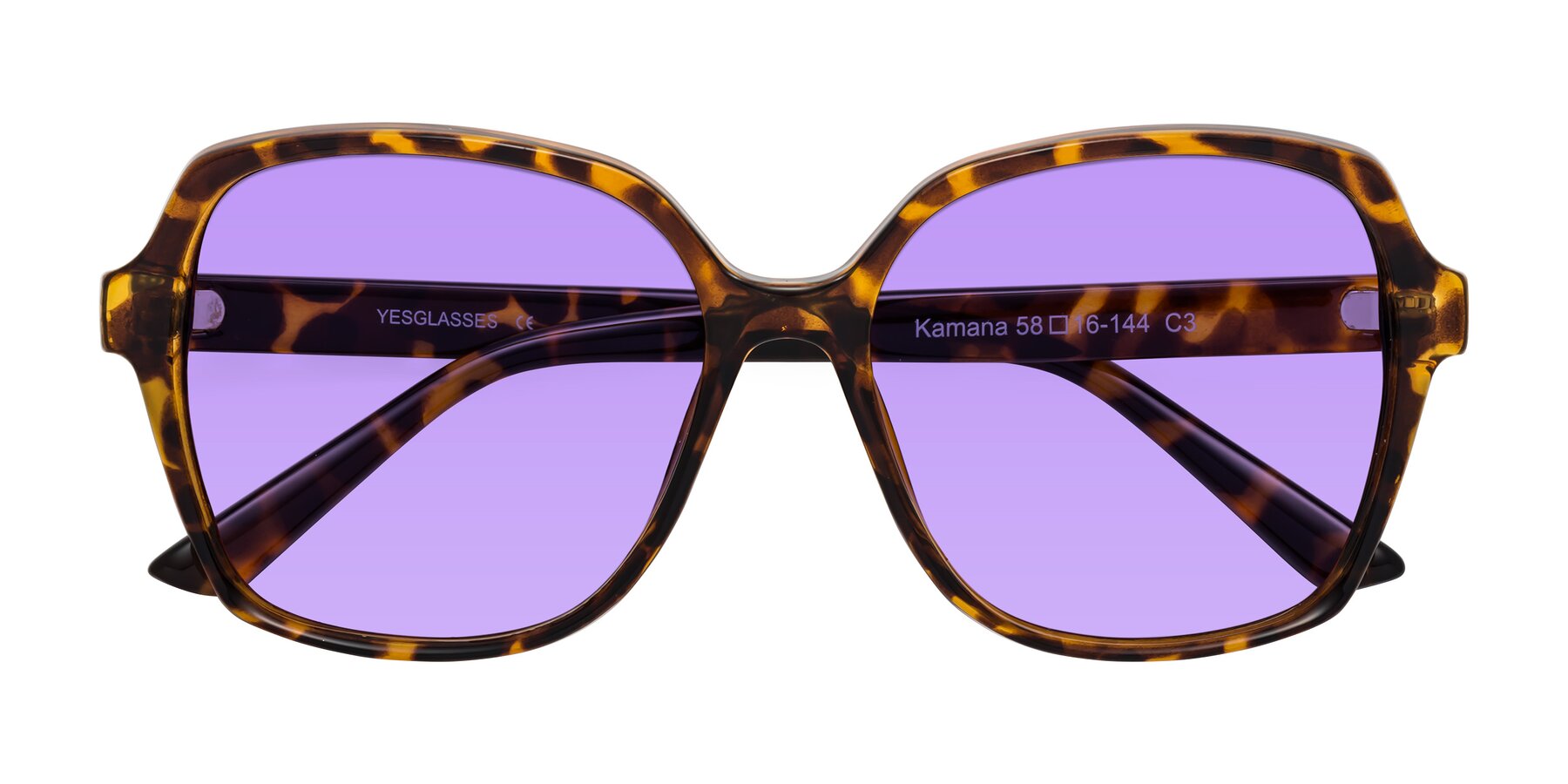 Folded Front of Kamana in Tortoise with Medium Purple Tinted Lenses