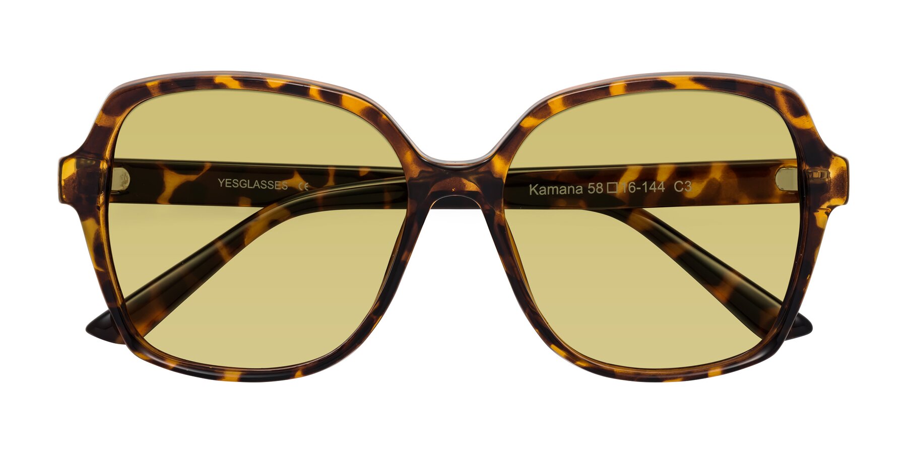 Folded Front of Kamana in Tortoise with Medium Champagne Tinted Lenses