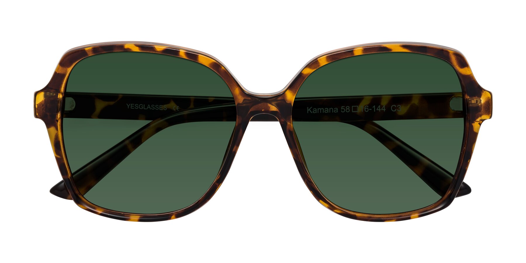 Folded Front of Kamana in Tortoise with Green Tinted Lenses