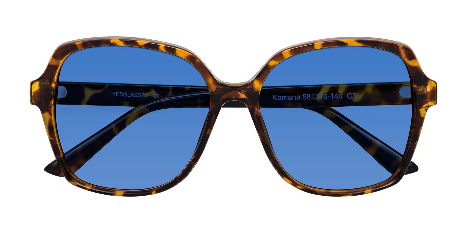 Folded Front of Kamana in Tortoise with Blue Tinted Lenses