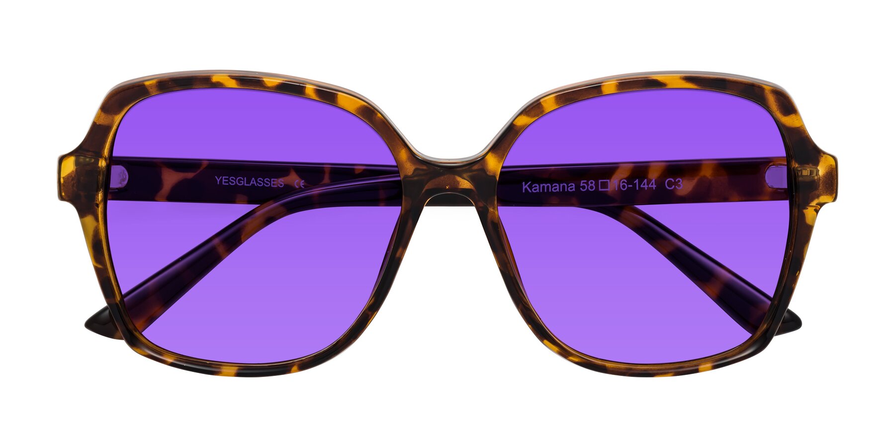 Folded Front of Kamana in Tortoise with Purple Tinted Lenses