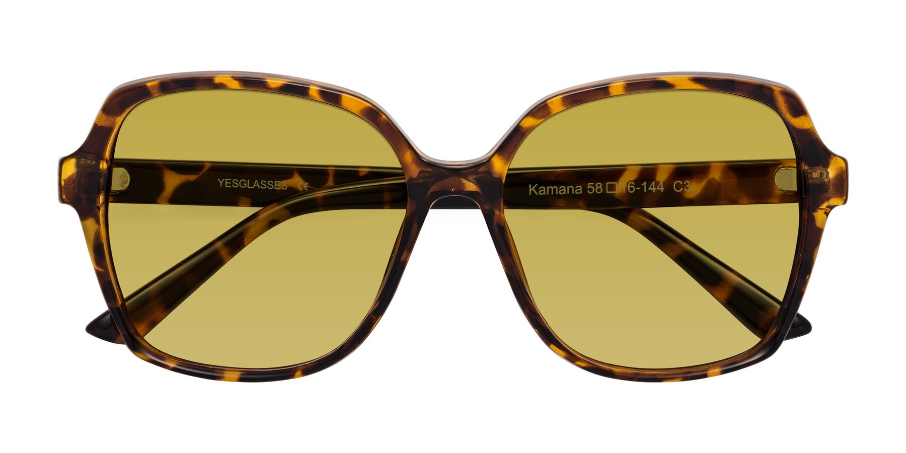 Folded Front of Kamana in Tortoise with Champagne Tinted Lenses