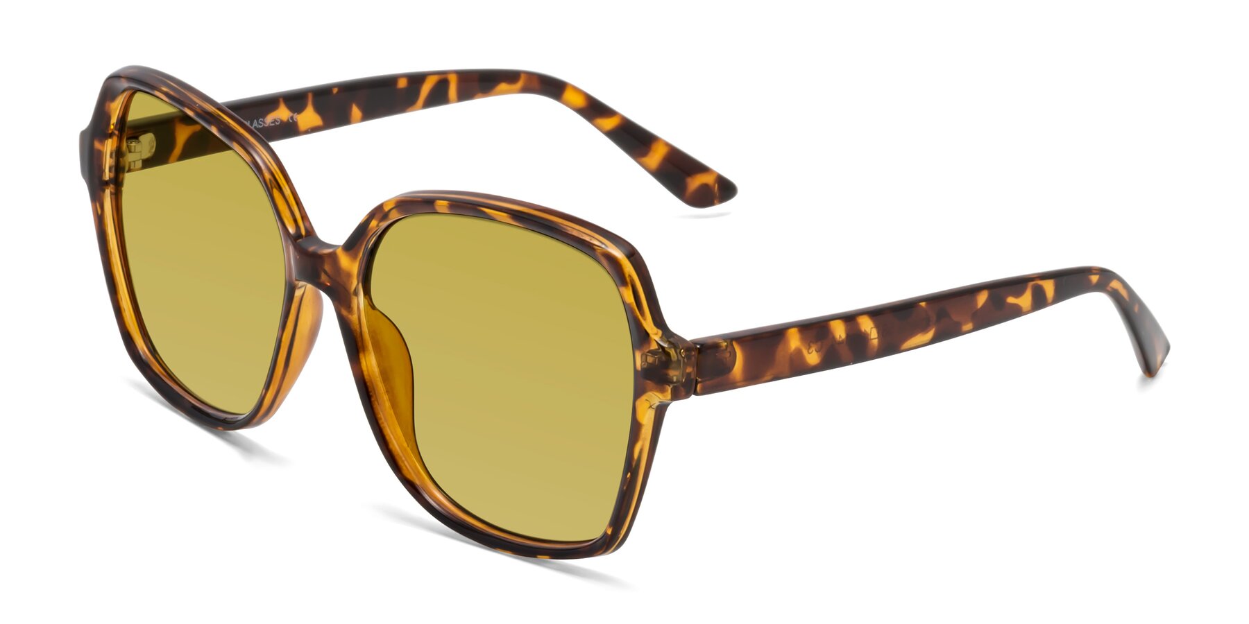 Angle of Kamana in Tortoise with Champagne Tinted Lenses